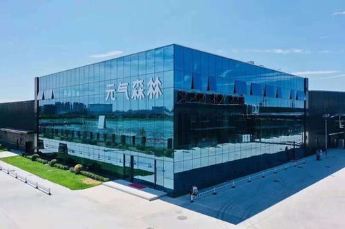 研發驅動，品質為王 元氣森林如何通過市場調研鑄造更好的產品