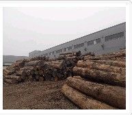 供應無錫木材銷售行業專家【富萬建筑】值得信賴 百姓口碑_交通運輸_世界工廠網中國產品信息庫